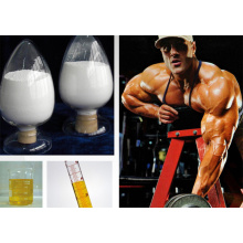 Nandrolona Undecilato / nandrolona undecanoato / Dynabolon CAS 862-89-5 para construcción muscular